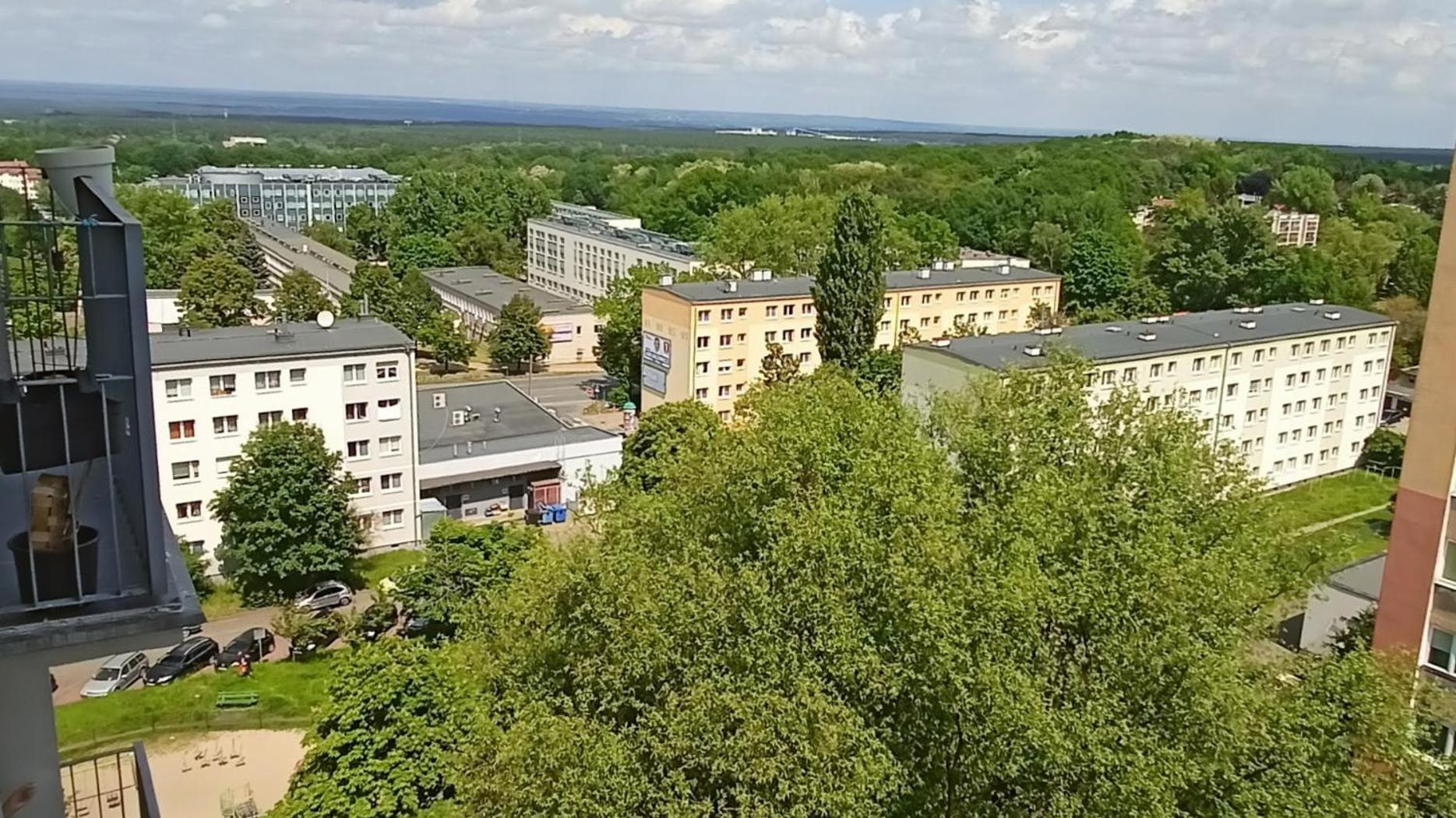 Drzewna Apartamenty - Wladyslawa Zielona Góra Exterior foto