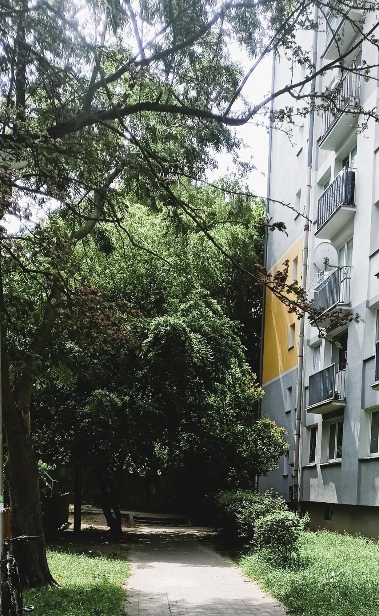 Drzewna Apartamenty - Wladyslawa Zielona Góra Exterior foto